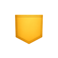 Pocket PM Coach